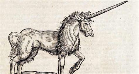 Unicorn Love: Exploring the Enduring Appeal of these Mythical Creatures